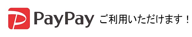 セーラー消耗品 SAILOR カートリッジ ジェントルインク染料 12本 水性染料 新パッケージ 全4色 12本入り 13-0404