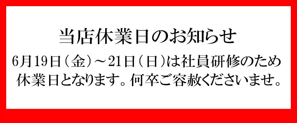 ≪即納対応商品≫TWSBI ツイスビー 万年筆 特別生産品